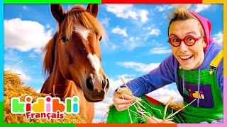 Découvrons le Monde des Chevaux | Vidéos Educatives pour Enfants | Kidibli