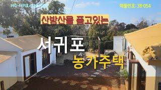 [공인중개매물소개] 제주도 산방산을 품은 서귀포 농가주택