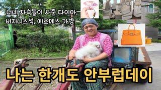 할머니의 에르메스 가방 #부럽지가않아 #할머니버전 #에르메스가방