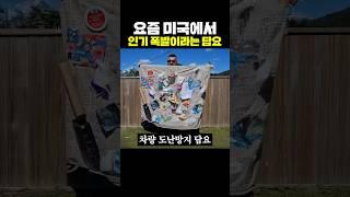 요즘 미국에서 인기 폭발이라는 담요
