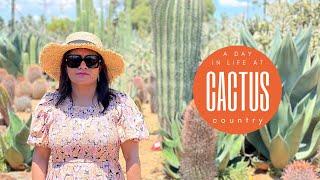 Cactus Country – AUSTRALIA'S LARGEST CACTUS FARM | All You Need to Know | Attraction Victoria