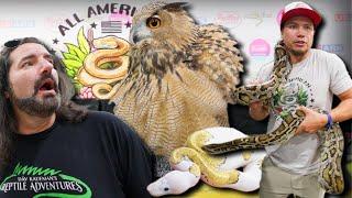 What REALLY Happened at the CHarlotte Reptile Show?!