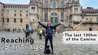 Walking the Camino de Santiago with my dog: The Last 100km | Happy that it's over?