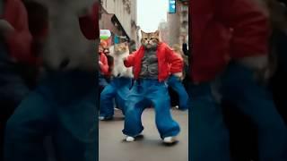 Cute cat dance# short feed# funny video 