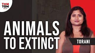 Facts About Endangered Animals In India By Torani Makana || TomTom Facts