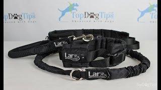 Larz Dog Products Hands Free Walking System Giveaway