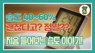 습도 60%가 건조하다고? - 상대습도 만으로는 해결 안되는 온도와 절대습도와의 관계