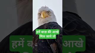 Eagle eyes | बाज की आखे #facts #shorts #animals