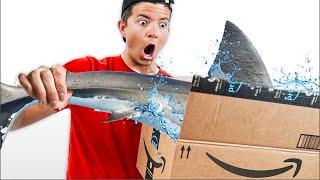 Amazon Items That Should NOT Be Sold!