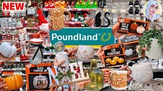 ..but have you seen CHRISTMAS & AUTUMN 2023 IN POUNDLAND ⁉️ *impressive stuff!*  NEW HOMEWARE 