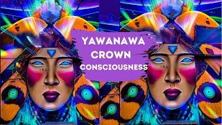 Yawanawa Crown Consciousness Hape' Snuff from Tribu Spirit