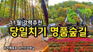 11월 여행지 서울 카페폭포 안산자락길 당일치기 가을여행