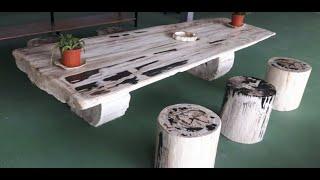 Petrified Wood Company Products