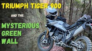 Triumph Tiger 900 Rally Pro - Watagans Off-road Adventure