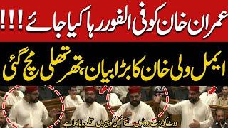 Immediately Release Imran Khan | Aimal Wali Khan’s Big Demand In Senate | Speech today | ANP | PTI