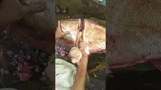big silver fish eggs #sort #fish #fishcooking #bhojpuri #fishcutting  #Ajazfish