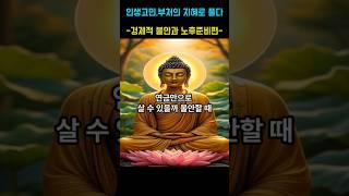 인생고민, 부처님의 지혜로 듣다 -경제적 불안과 노후준비 - 제3화 연금만으로 살수있을까 불안할때 #부처님말씀 #명언 #자기수행 #삶의지혜 #삶의고민 #인생조언 #철학 #지혜
