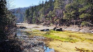 Hercules Glades Wilderness Backpacking Loop (Missouri)