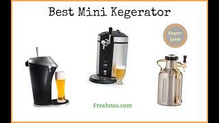 Best Mini Kegerator Reviews (2022 Buyers Guide)