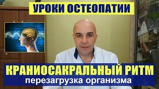 9. Уроки остеопатии урок  № 9 Перезагрузка организма Краниосакральный ритм