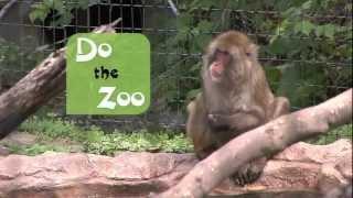 Blank Park Zoo "Do the Zoo"