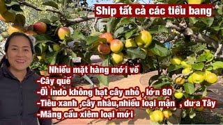 Vườn mới về nhiều mặt hàng mới, cây đẹp có hoa , trái. Kính mời  các cô chú , anh chi