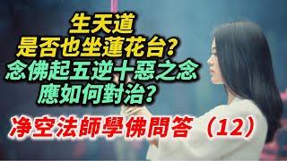 生天道是否也坐蓮花台？誰來接引？造了惡業是否能皈依三寶？念佛起五逆十惡之念，應如何對治？是否著魔？念佛時，念珠必須怎麼拿？净空法師學佛問答（12）