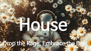 Drop the Rage, Embrace the Beat  #ToleranceDay #November16 #EDMforPeace #edm2024 #edmhouse