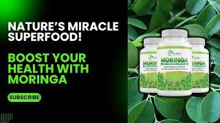 MORINGA MAGIC: The Secret Superfood You NEED to Try NOW