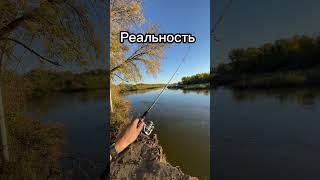 У вас тоже так? #fishing #pescaria #humor #рыбалка #улов #прикол #рибалка #спиннинг #щука #судак