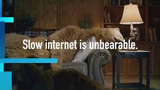 Hibernating because of slow internet? Switch to Alaska Communications all new Fiber network.