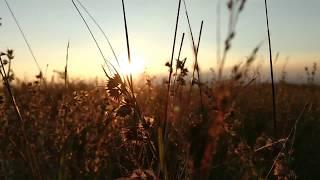 Beautiful sunrise with the grass dancing to the wind on mountain top | Best sunrise I've ever seen !