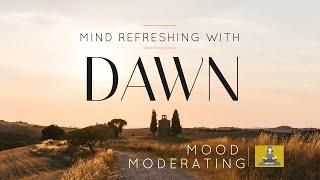 Mind Refreshing With Dawn | 1 hour Music | Calm Music | Meditation | Mood Moderating |