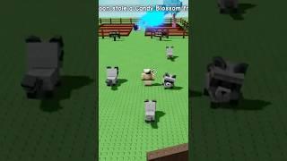 Sending raccoons to steal in Grow a Garden | #roblox #gardening #growagarden