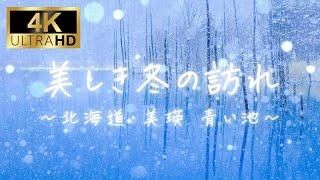 【4K】【絶景】美しき冬の訪れ～北海道・美瑛 青い池～【癒し】