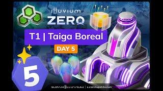 Illuvium: Zero | T1 | Taiga Boreal | Day 5 in Building Development