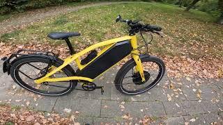 Smart Electric bike 55km/h with ease Ellio E Bike