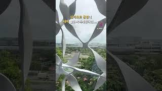 생각보다 좋았던 공항호텔 추천드려요🩵 #싱가포르 #싱가포르여행 #창이공항
