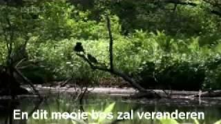 de harde waarheid - A2e