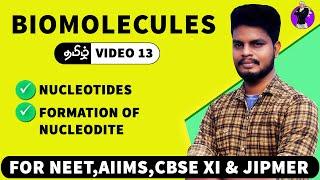 Nucleotides & their Formation | Biomolecules in Tamil (13)