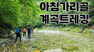 [4K] 아침가리골 7월 계곡트레킹 후기 영상(방동약수-조경동교-진동2교) 23.07.09.