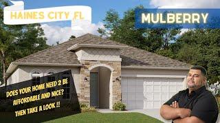 New House Tour | Haines City, FL | Cypress Park Estates by Dream Finders Homes | Mulberry Floor Plan