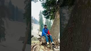Feel the vibes(sukoon)️ #kashmir #viral #trendingreels #vibes #mountains #rachitsehrawat