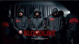 PINAR x SON OF SELO x RRAFA - BLOODLINE  (Viti0 #2)