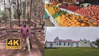 Places to Visit in Kodaikanal - 4K - Wonder tours and travels Chennai- www.wondertnt.com