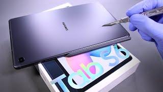 Samsung Galaxy Tab S6 Lite Unboxing - ASMR