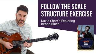 David Shorr Guitar Lessons - Follow the Scale Structure Exercise - TrueFire