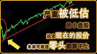 刚刚在纳斯达克上市了！美股小盘股里没人注意的超级黑马？未来翻10倍？