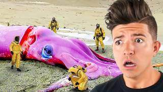 CRAZIEST Things Found in the WORLD