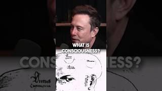 Elon Musk Answers: What Is Thought?
